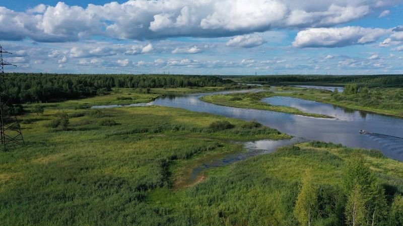 800px-Всероссийские_состязания_по_утке_2021.jpg