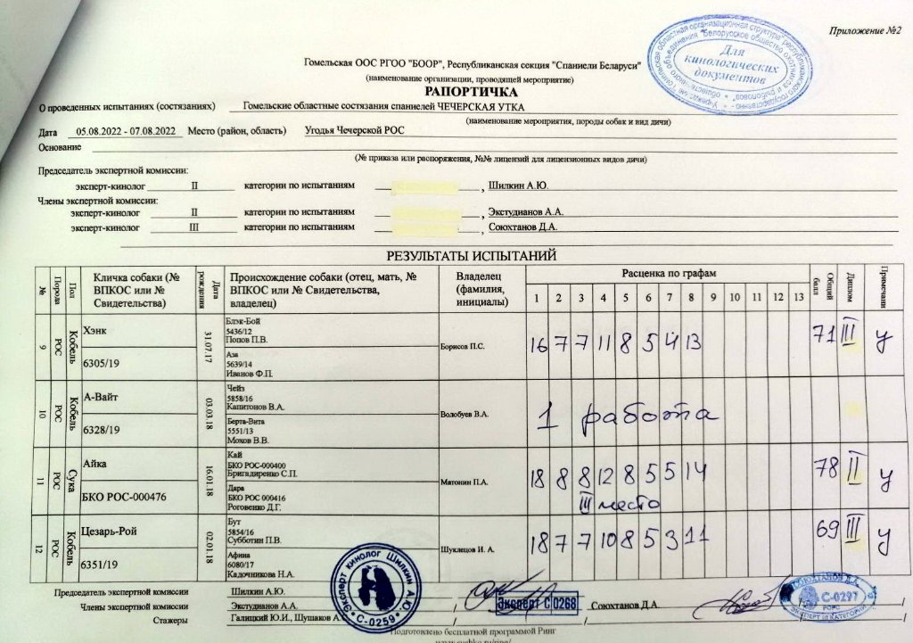 СОСТЯЗАНИЯ3.jpg
