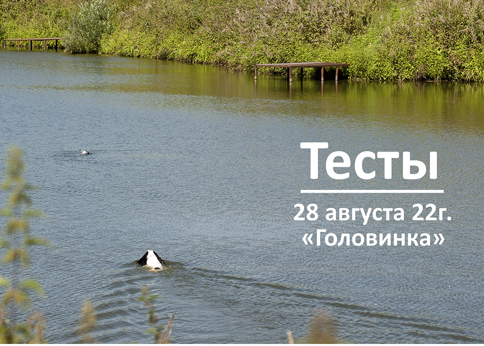 2022-Август_Тесты_2.gif