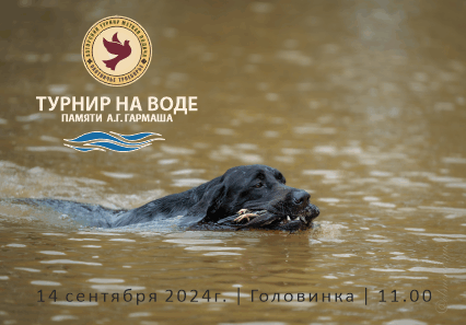 2024-Сентябрь_Турнир на Воде_2.gif