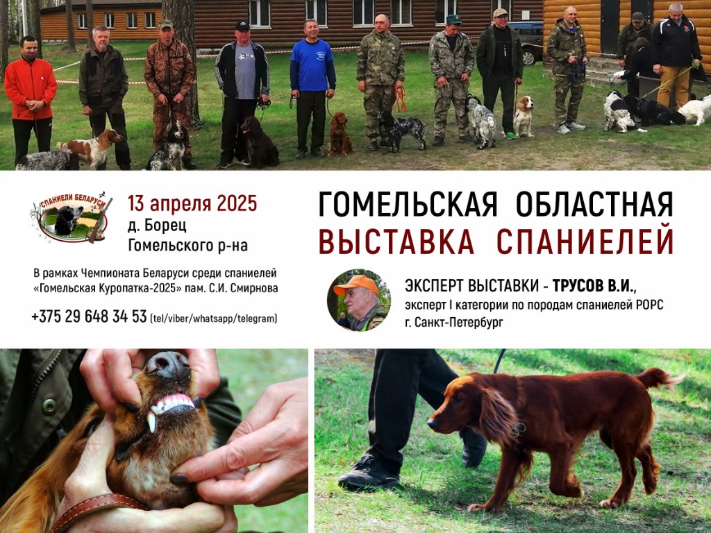 выставка.jpg