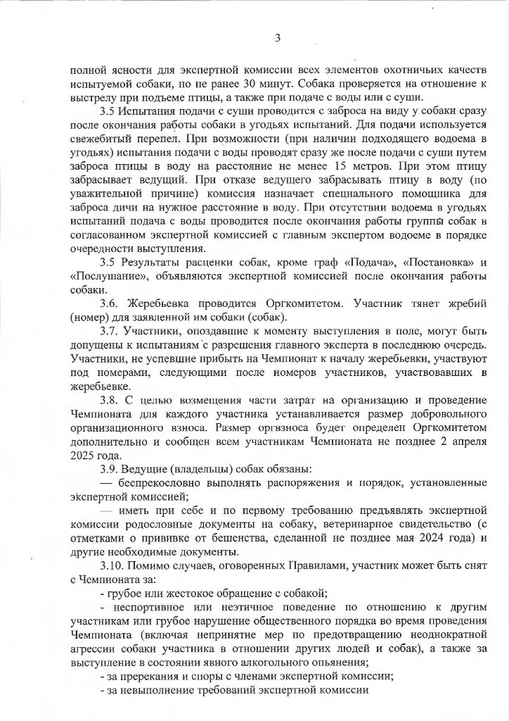 гомельская куропатка 2025-3.jpg