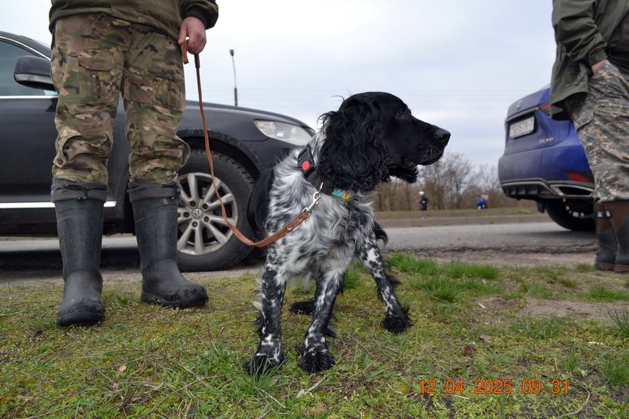 DSC_0460_новый размер.JPG