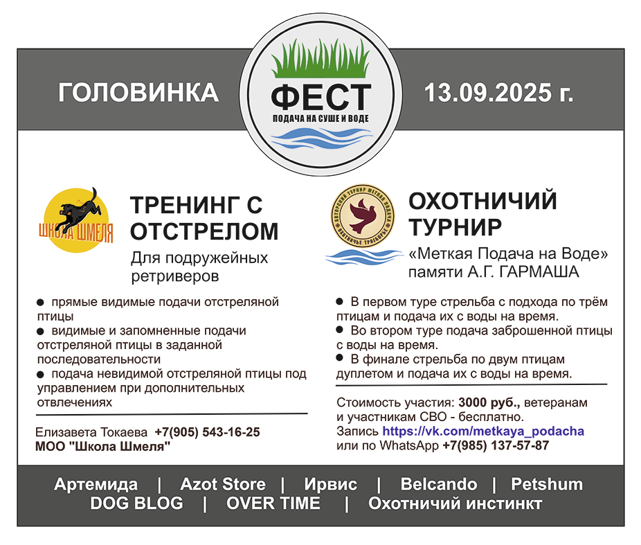 ФЕСТ_02.gif