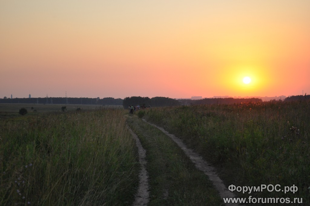 DSC_1090.JPG