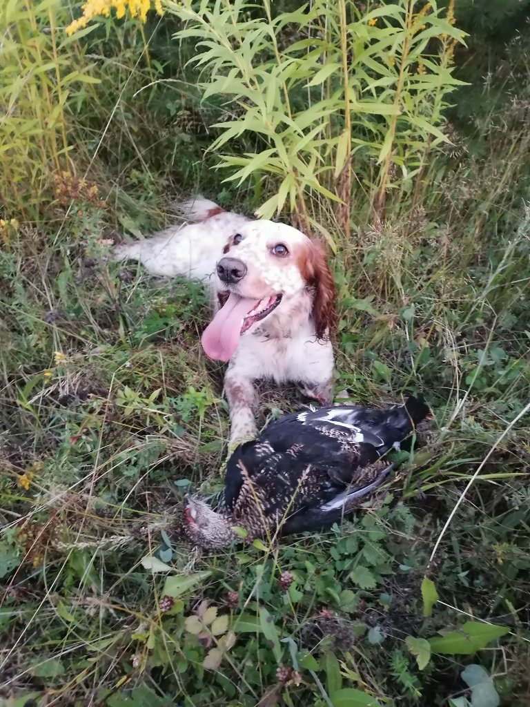 IMG_20260808_200952.jpg