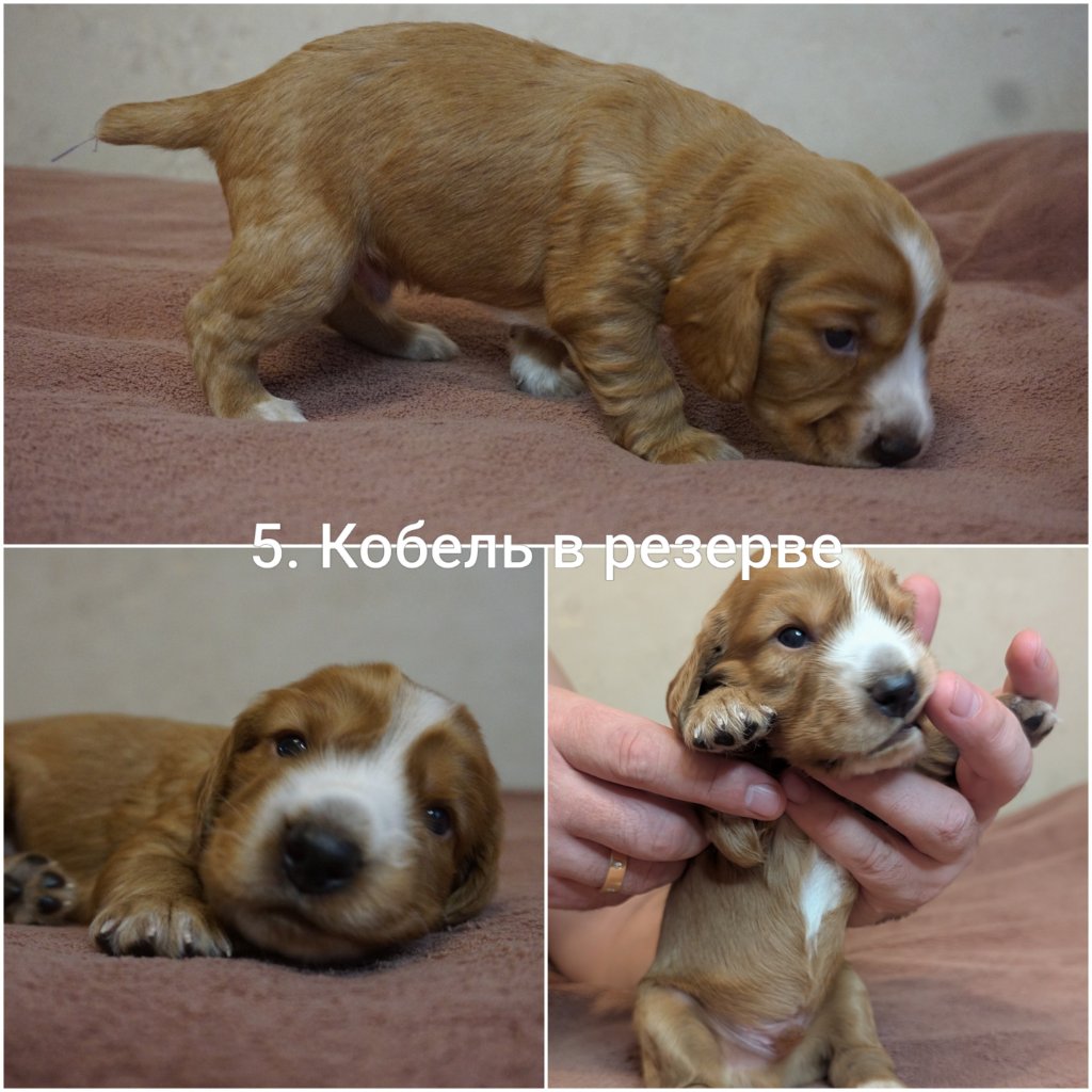 20261011_193718-COLLAGE~2.jpg