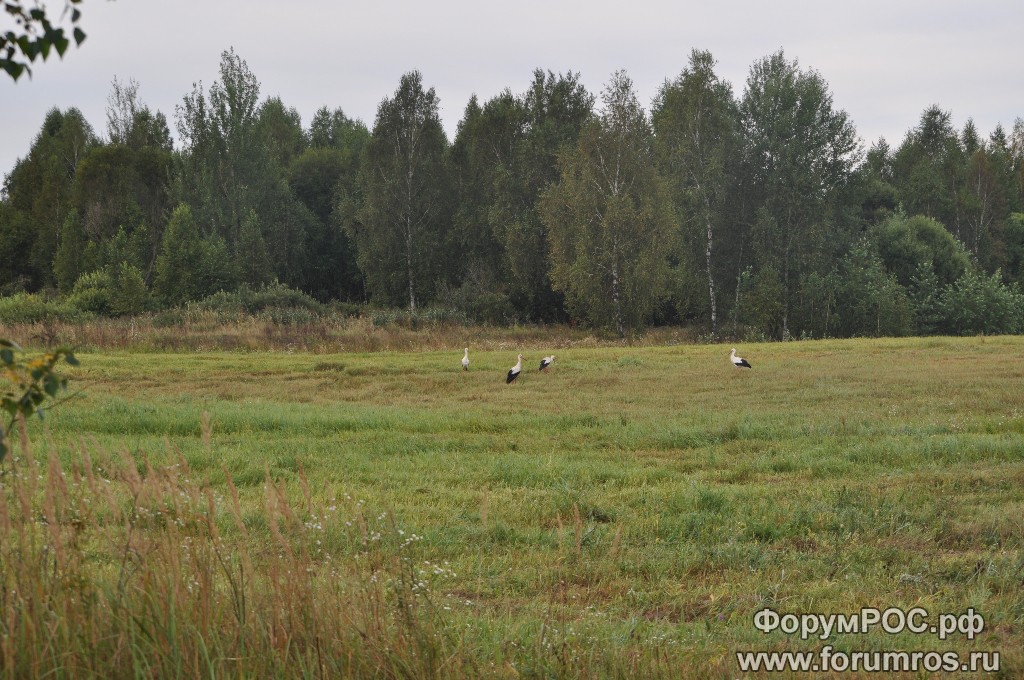 DSC_0063.JPG
