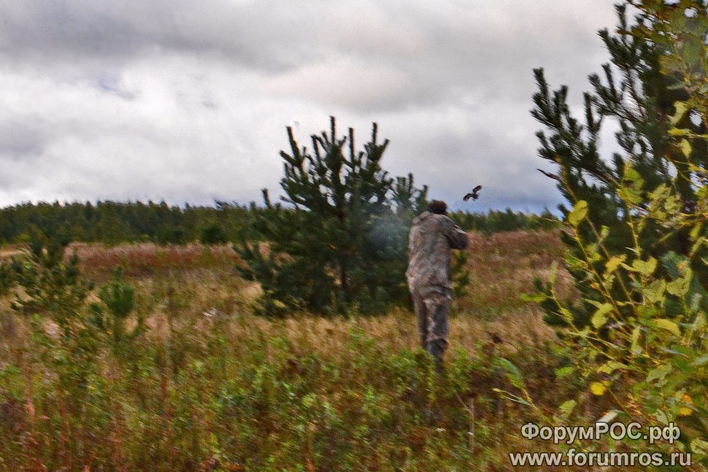 DSC_7925-1.jpg
