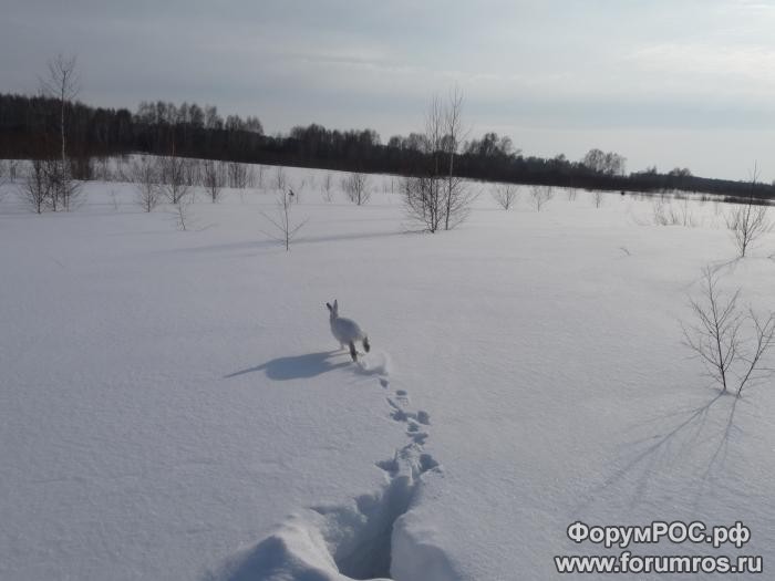 2011-02-15276b17c51e7248f11b0df87640ef00__rsu-1000-800.jpg
