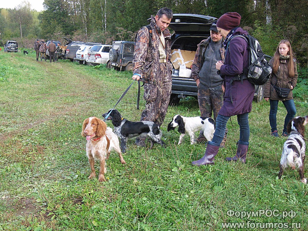 IMG_2864.JPG