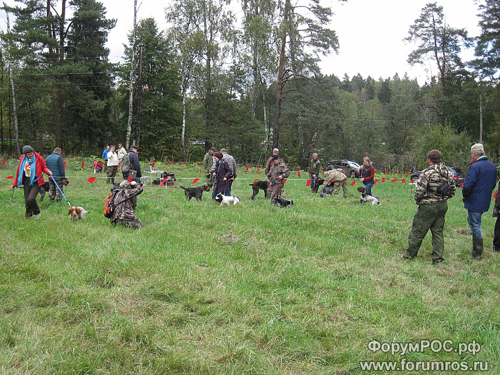 IMG_2871.JPG