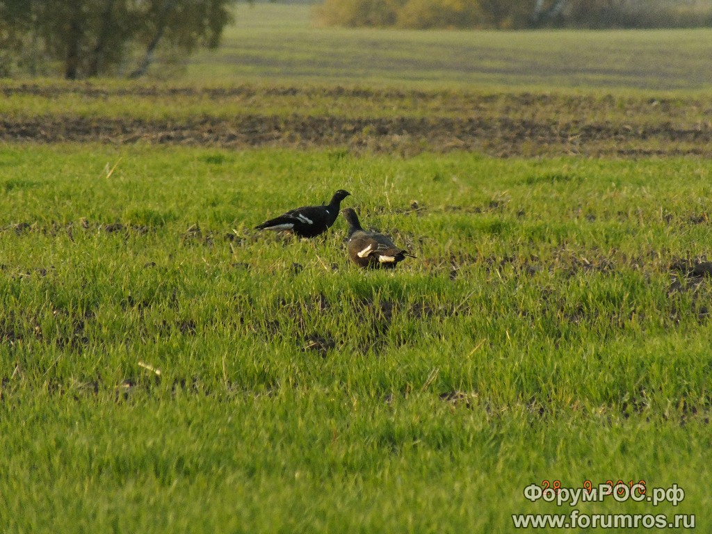 DSCF2933.JPG