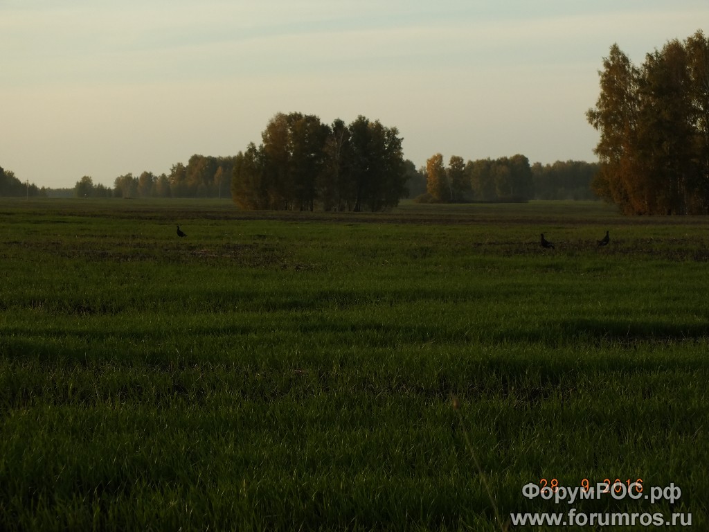 DSCF2929.JPG