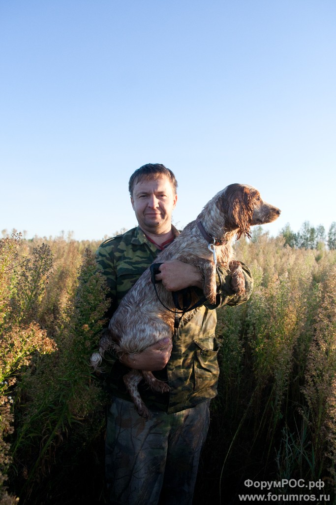 Bryansk_2016-024.jpg