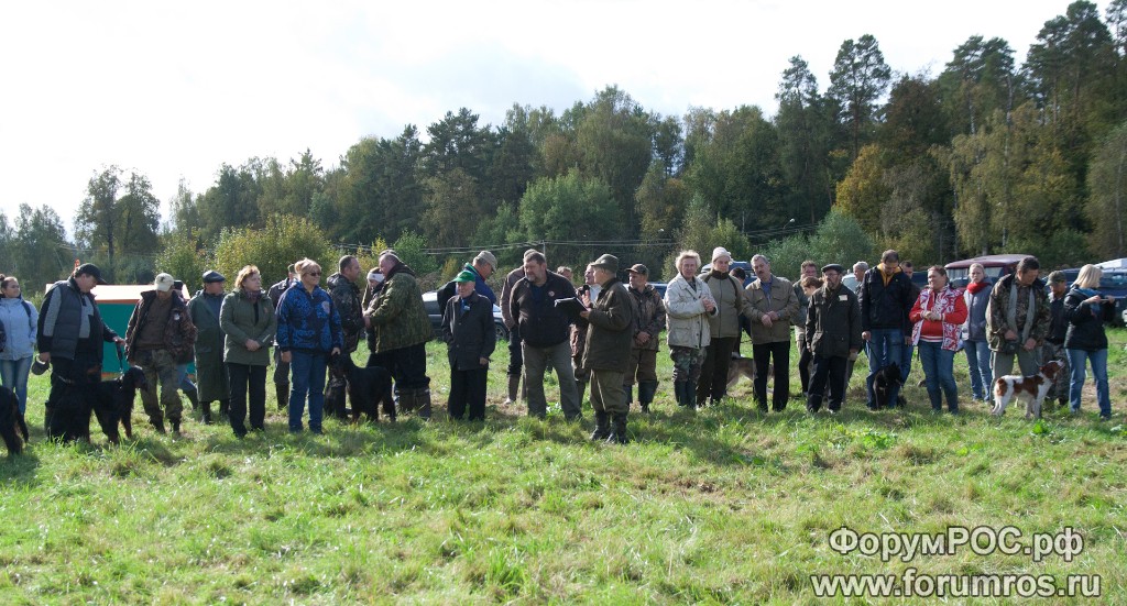 Puschkinskaya 24 spt 2016-021.jpg