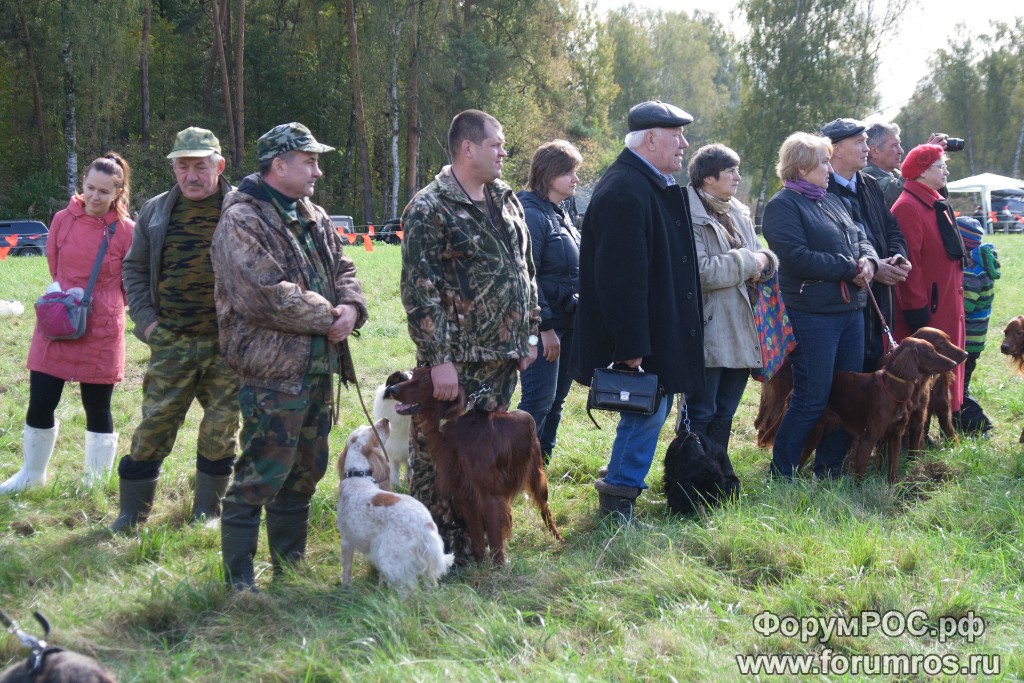 Puschkinskaya 24 spt 2016-022.jpg