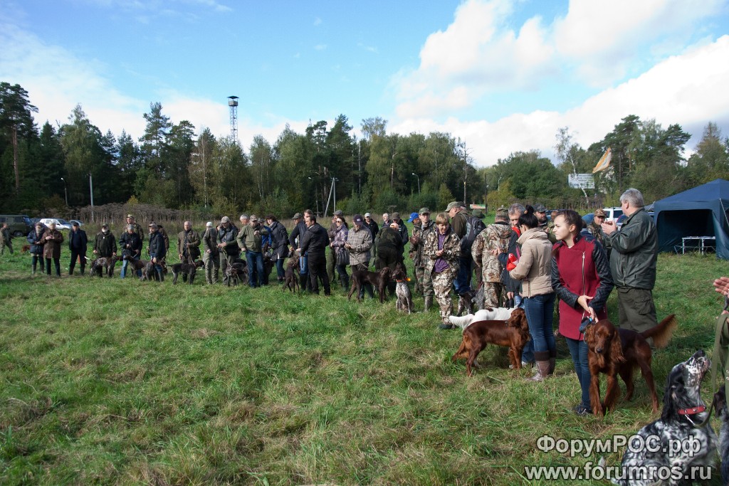 Puschkinskaya 24 spt 2016-024.jpg