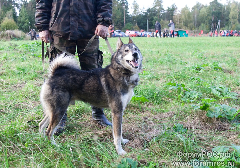 Puschkinskaya 24 spt 2016-019.jpg