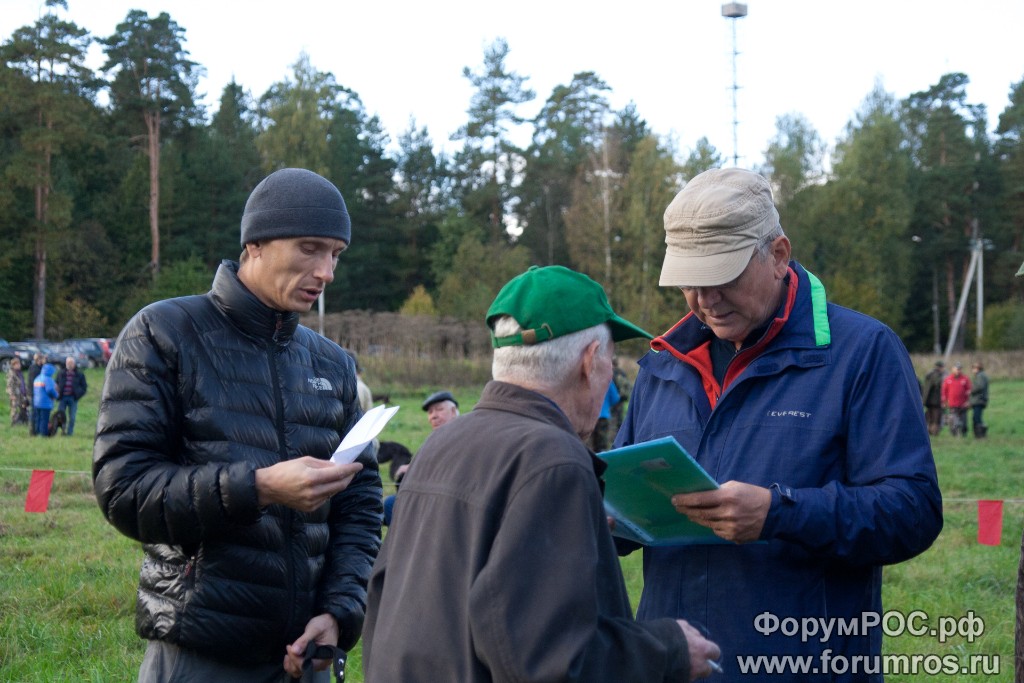 Puschkinskaya 24 spt 2016-017.jpg