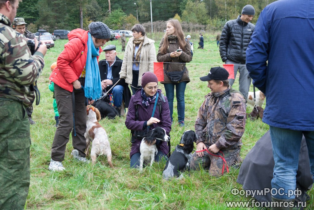 Puschkinskaya 24 spt 2016-029.jpg