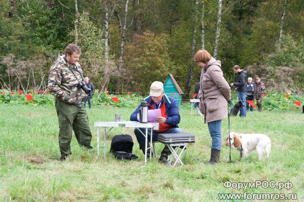 Puschkinskaya 24 spt 2016-074.jpg