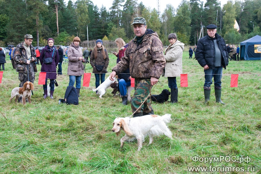 Puschkinskaya 24 spt 2016-090.jpg