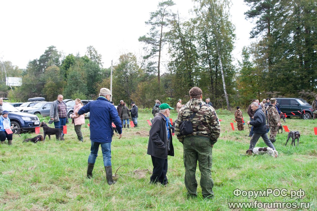 Puschkinskaya 24 spt 2016-091.jpg