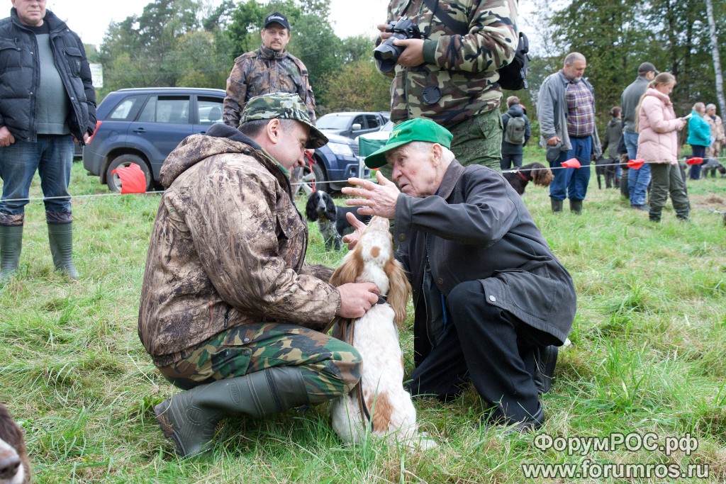 Puschkinskaya 24 spt 2016-087.jpg