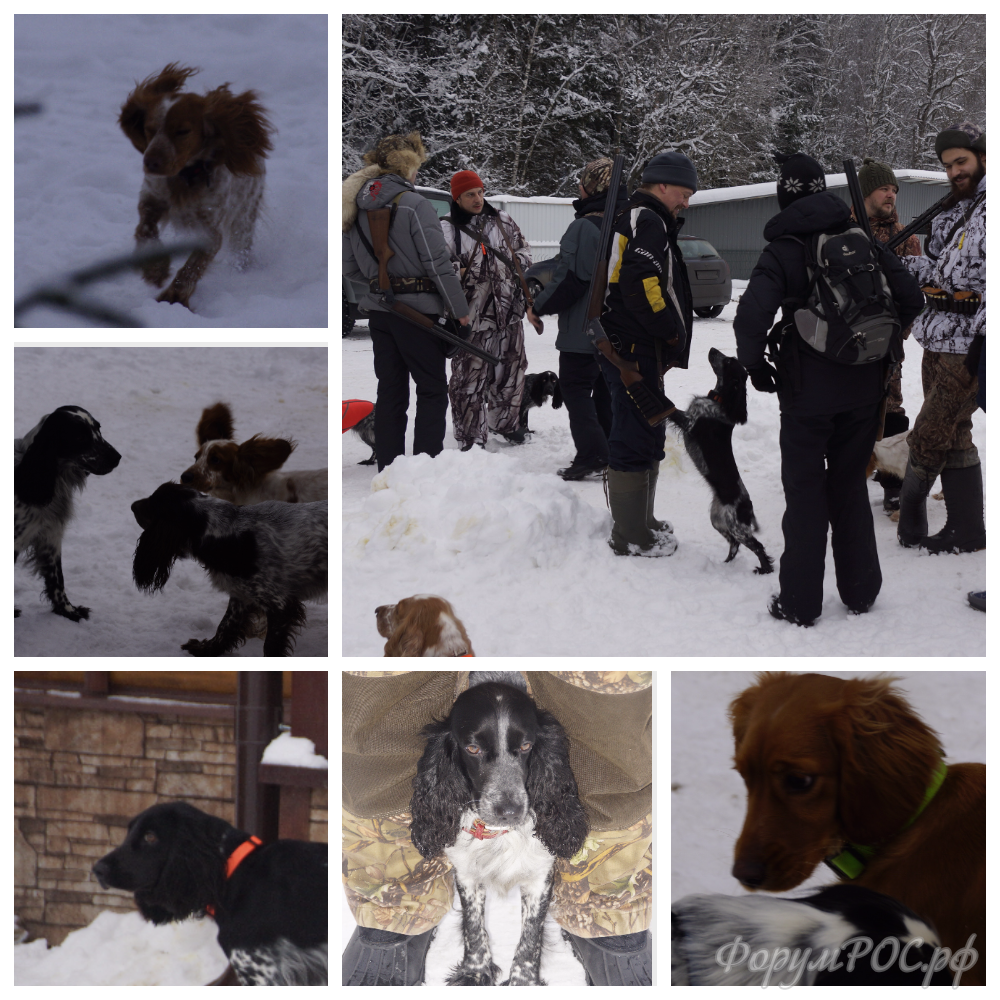 MyCollages (10).png