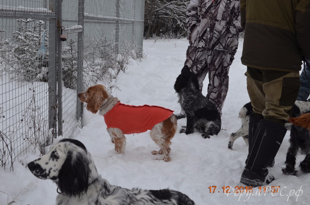 DSC_0124.JPG