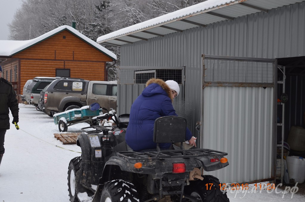 DSC_0120.JPG