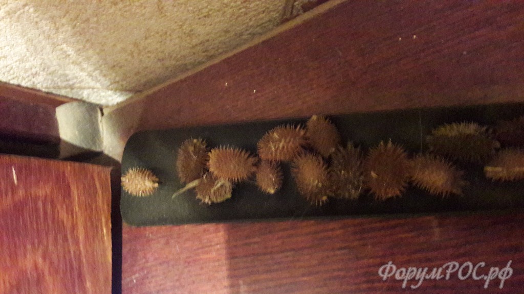 20161225_205047.jpg
