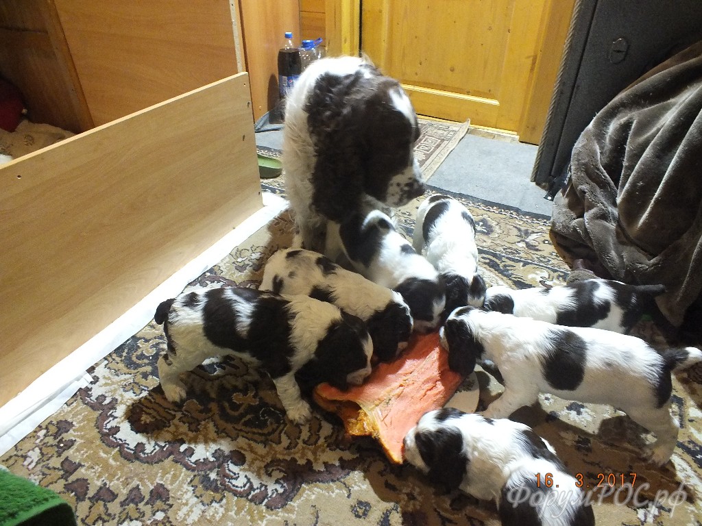 DSCF8639.JPG