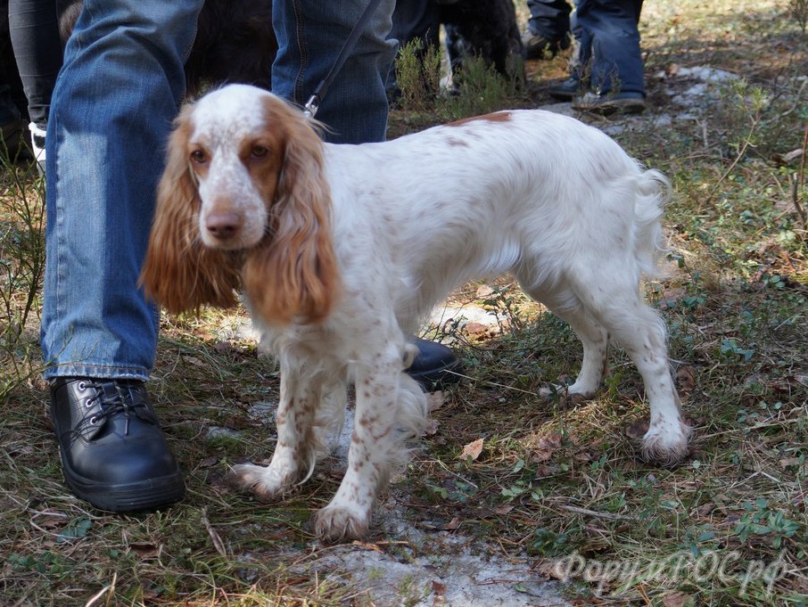 Юлана.jpg