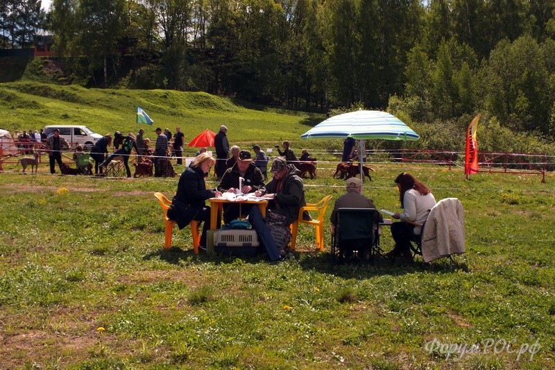 DSCF2264.JPG