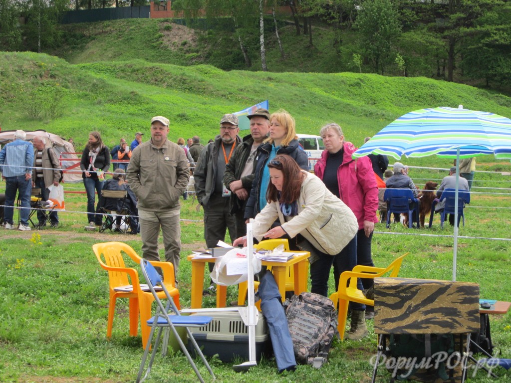 IMG_3576.JPG