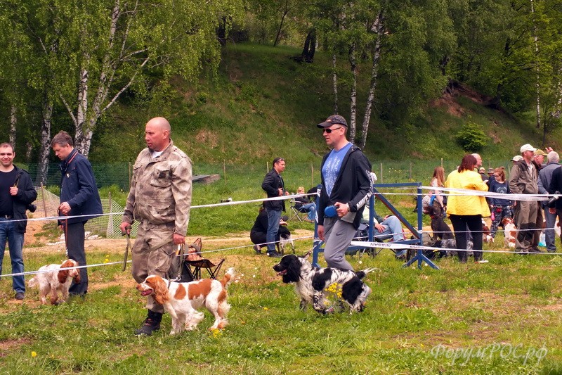 DSCF2386.JPG
