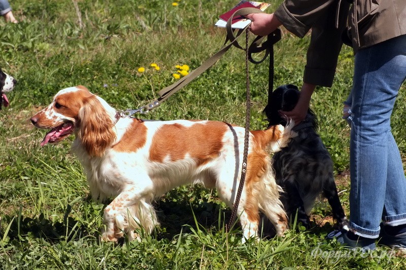 DSCF2235.JPG