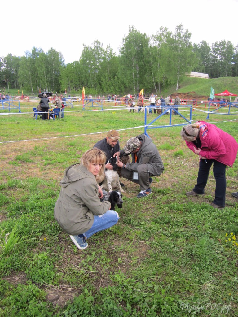 IMG_3636.JPG