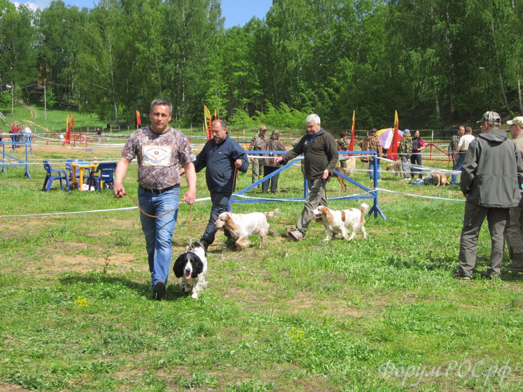 IMG_3669.JPG