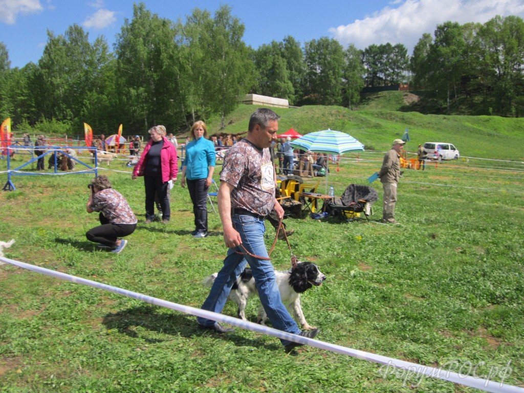 IMG_3654.JPG