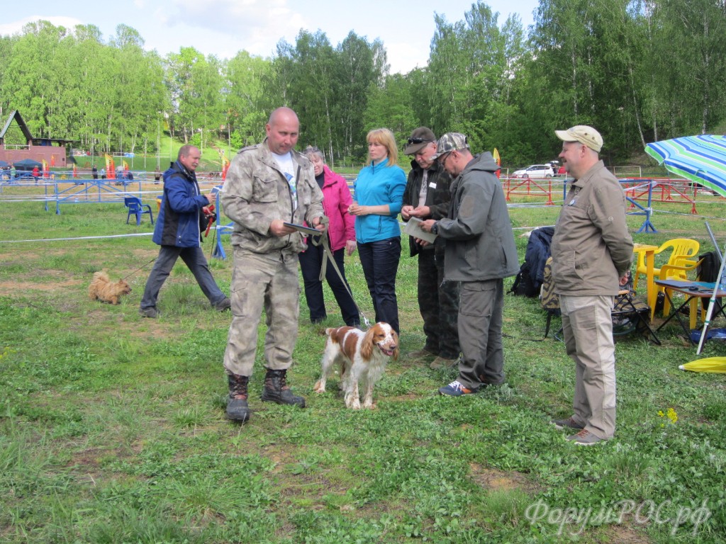 IMG_3701.JPG