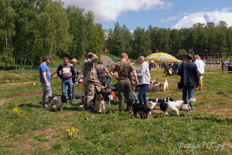 DSCF2290.JPG