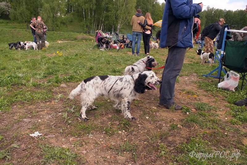 DSCF2394.JPG