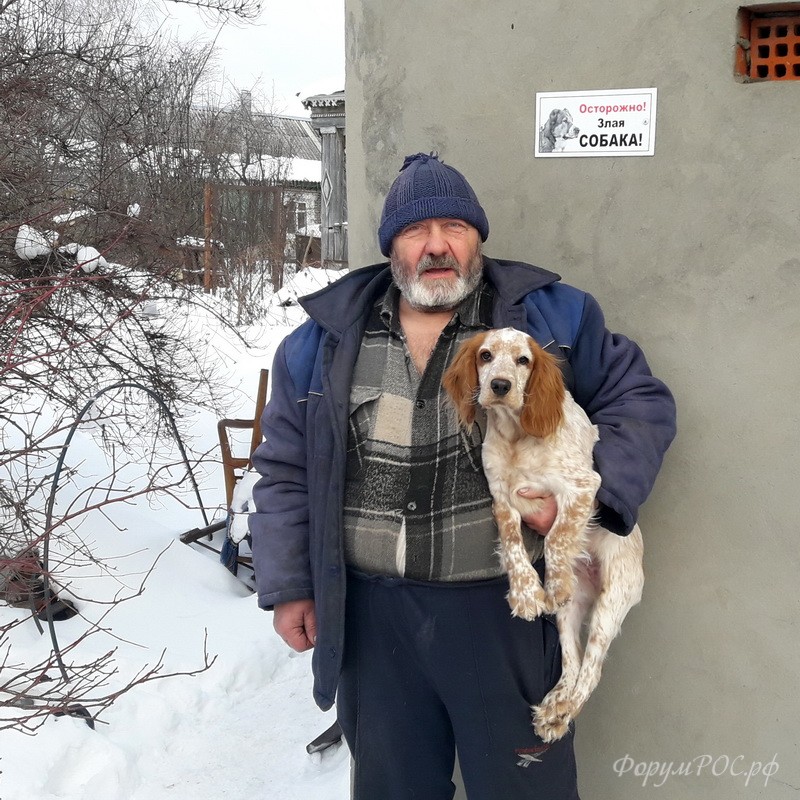 злая собака_800.jpg