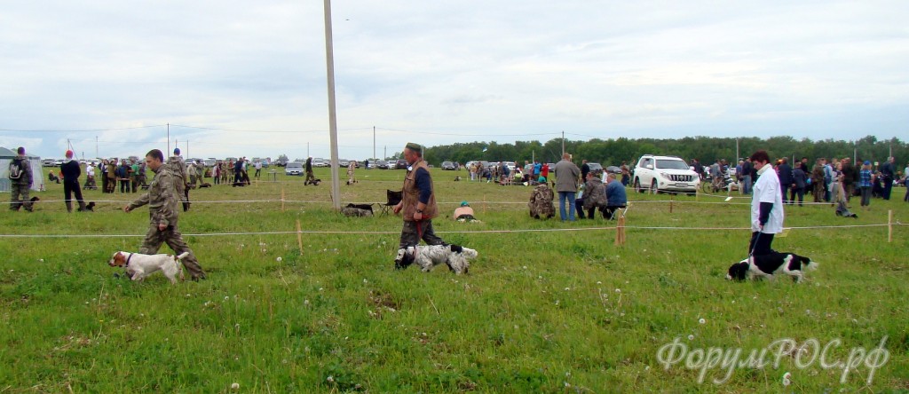 DSC02361.JPG