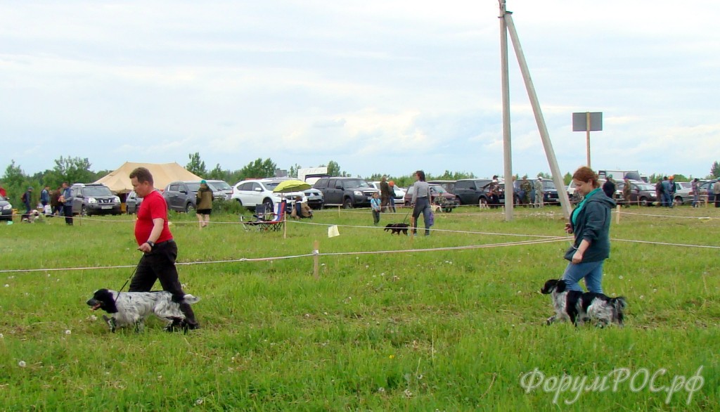DSC02364.JPG