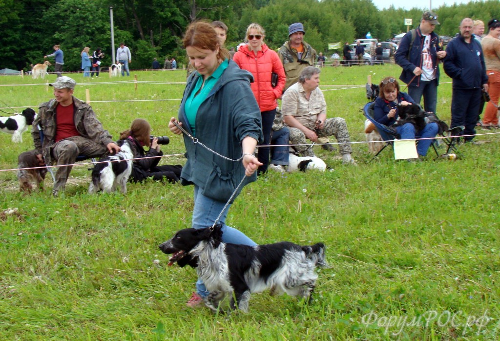 DSC02375.JPG