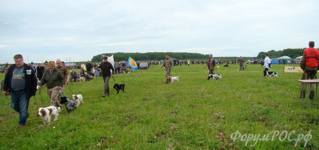DSC02377.JPG